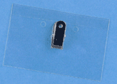 Convention Badge Holders Clip Back Insert Size 4 x 3 - Lot/100